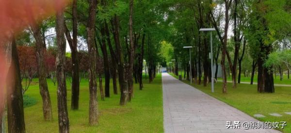 北京世園公園去了N多次還想去，我不會有問題吧？