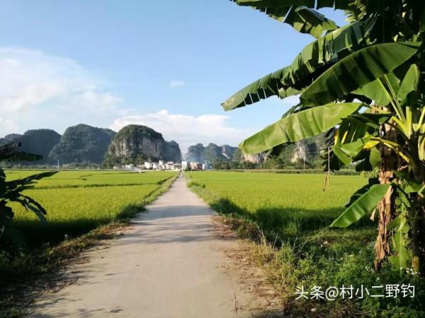 影響釣魚的10大因素