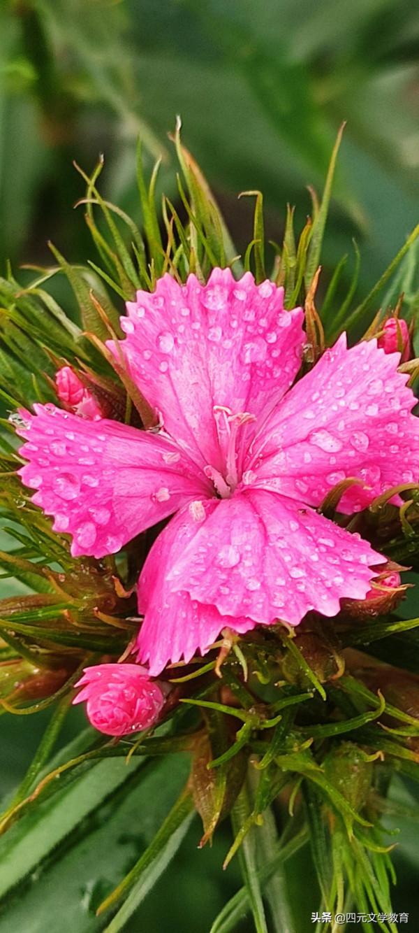 樂觀人生需要陽光心態