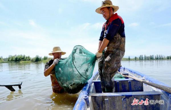 看！2500萬人的豐收圖景