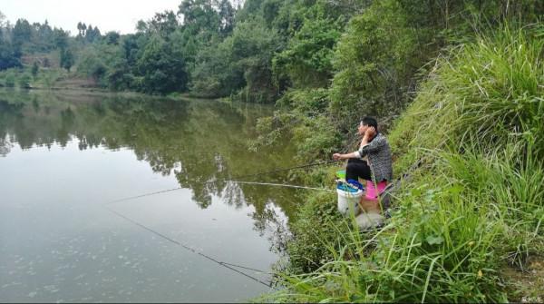 野釣中用長竿好還是用短竿好，將近四十年的垂釣體會 分享給大家
