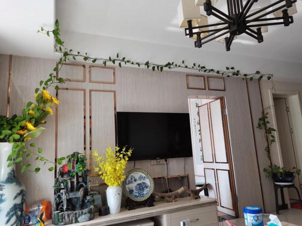 吉尼斯紀錄:最長的綠蘿 吉尼斯紀錄:最長的綠蘿