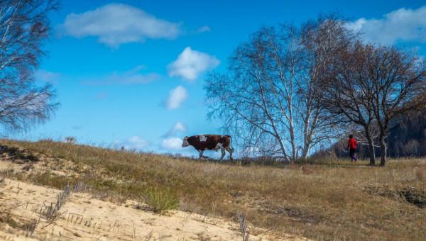 三天三季-我的烏蘭布統之旅-第五篇