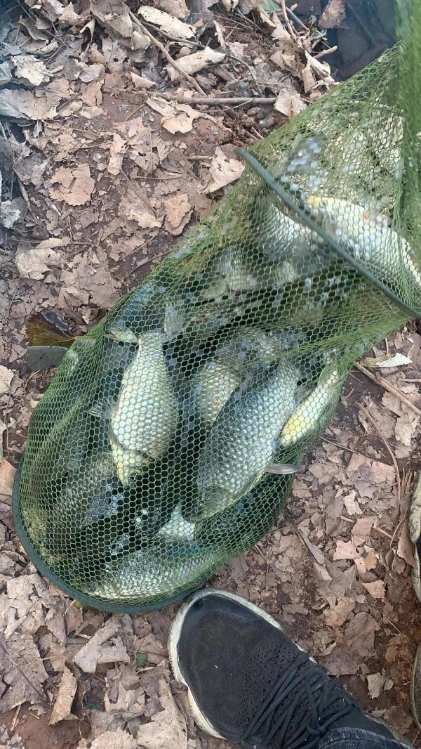 冬日水庫小釣 冬日水庫小釣