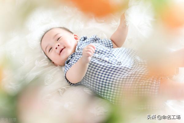 男孩起名,鴻鵠之志,器宇不凡的男寶寶名字大全 男孩起名,鴻鵠之志,器宇不凡的男寶寶名字大全