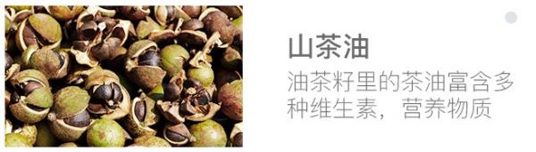 超實用！這些十一帶娃出行注意事項，越早知道越好