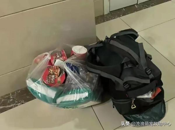 救助人患癌離世,留下3000多隻毛孩子,僅剩口糧撐不過一個星期 救助人患癌離世,留下3000多隻毛孩子,僅剩口糧撐不過一個星期