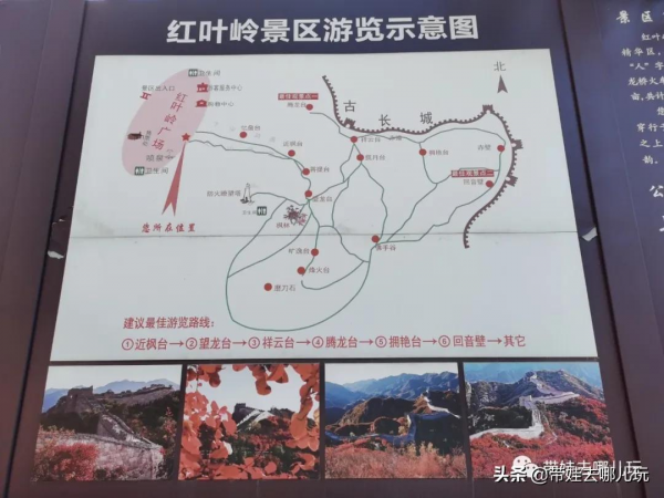 每年僅開放一個月的賞紅景點,到底值不值得去? 每年僅開放一個月的賞紅景點,到底值不值得去?