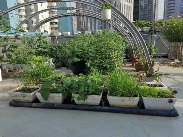 新式移動淺池,讓二培更加方便 新式移動淺池,讓二培更加方便