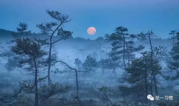 至一習慣：人的巨大勇氣從哪裡來？