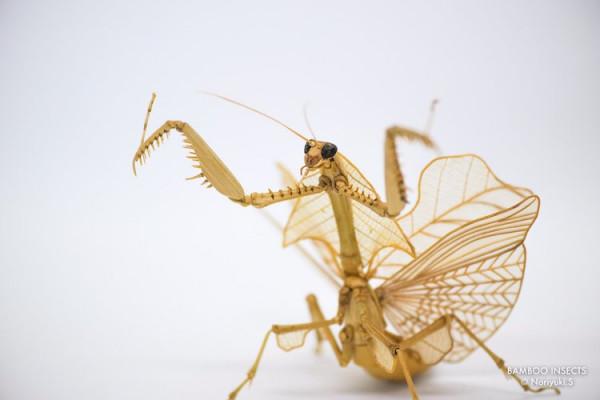 精緻細膩惟妙惟肖的竹製昆蟲 精緻細膩惟妙惟肖的竹製昆蟲