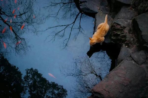 花鏡隨筆｜2022年的第一天