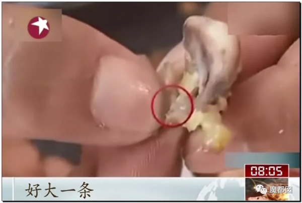 崩塌吐了！麥當勞餐盤不洗、食材過期、奶漿漏3天還繼續用