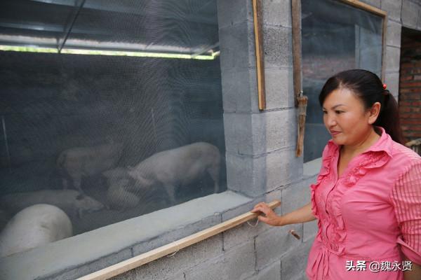 兩個媽媽一個79歲一個88歲，50歲農婦留守深山盡孝，還種地養豬