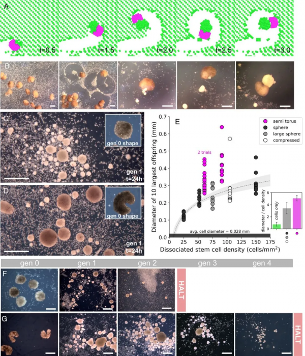 科技部已開發智慧工具監測學術論文，首個可自我繁殖的活體機器人問世丨一週科技導讀