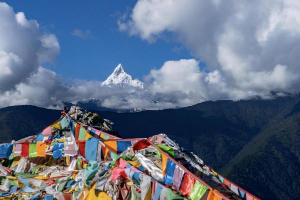 東達山埡口沒有停留，下山路邊拍了下高山草甸作留念