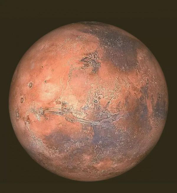 肖恩·卡羅爾《大圖景》| 生命的“正確”定義真的存在嗎? 肖恩·卡羅爾《大圖景》| 生命的“正確”定義真的存在嗎?