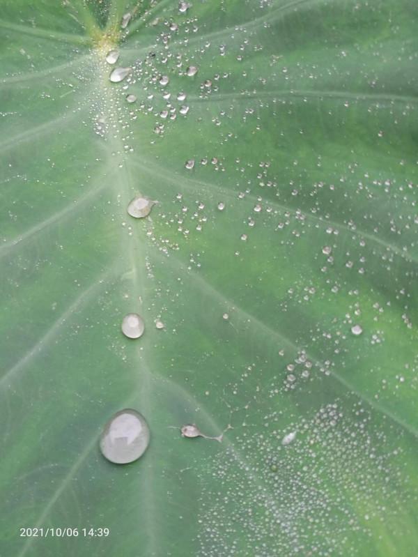 懸崖山路,我看到了灰色半透明靈體 懸崖山路,我看到了灰色半透明靈體