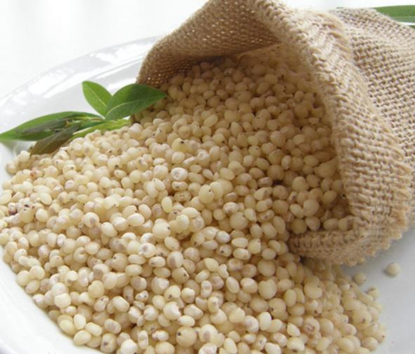 為什麼不吃米和麵以後，體重就立刻降下來了？我們一起來了解一下