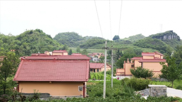 村裡有一群年輕人,什麼事也不用做,卻過得十分輕鬆 村裡有一群年輕人,什麼事也不用做,卻過得十分輕鬆