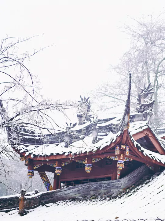 元旦最強攻略出爐！小眾美景、愜意度假、全家出遊都有，拿走去耍