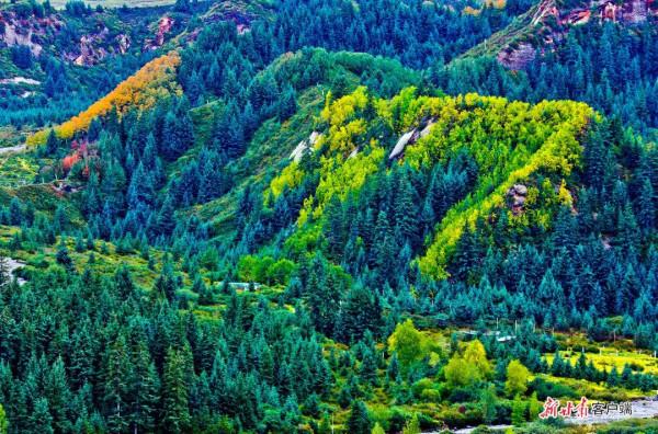 看！2500萬人的豐收圖景