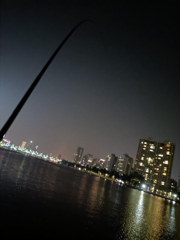 野釣河邊喜獲麥鯪，無人機組合圖案勝比煙火