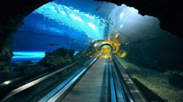 撕毀千億訂單，還嘲諷中國不夠格？中方態度明確：賠償一分不能少