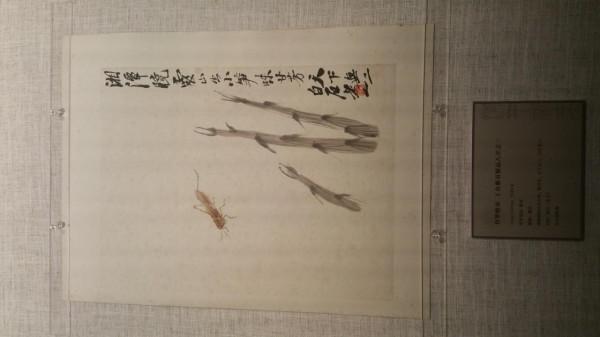 《方孔齋主人_帶你去博物館》之‖清平福來_齊白石藝術特展‖ ③