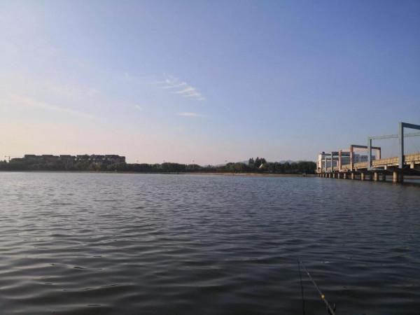 從調4釣2、調6釣4的區別，來看調釣靈鈍的實質