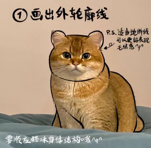 照貓畫虎~誰還不是個小腦斧啦？