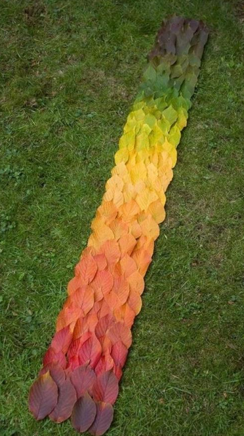 66張治癒強迫症的完美圖片，看完整個人都舒服了