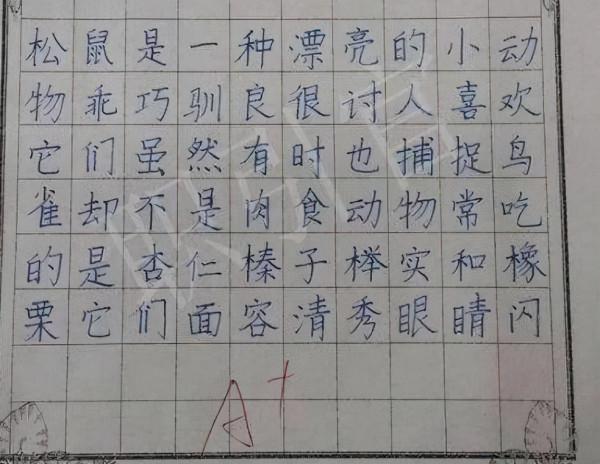 一小學三年級女生火了，字型工整如印刷，班主任看後竟不忍心扣分