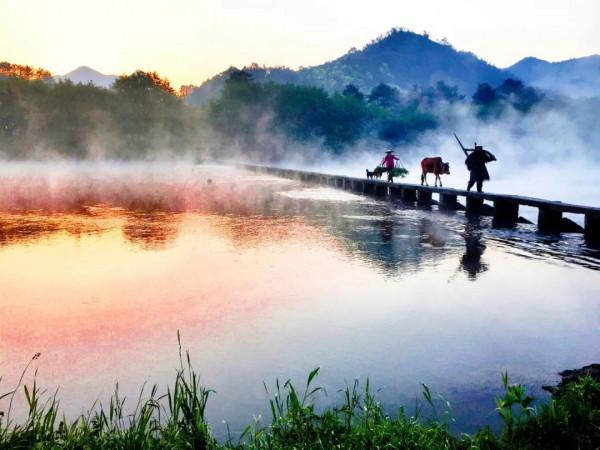 人到中年，讀懂這四首詩詞，你就活明白了