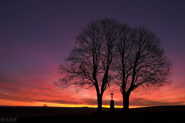“有理的”不一定是好詩,“無理的”未必不是好詩 “有理的”不一定是好詩,“無理的”未必不是好詩