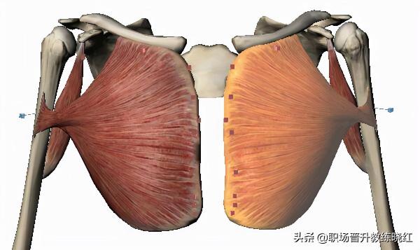 含胸駝背沒氣質？3個瑜伽體式讓你氣質暴漲「私教版」