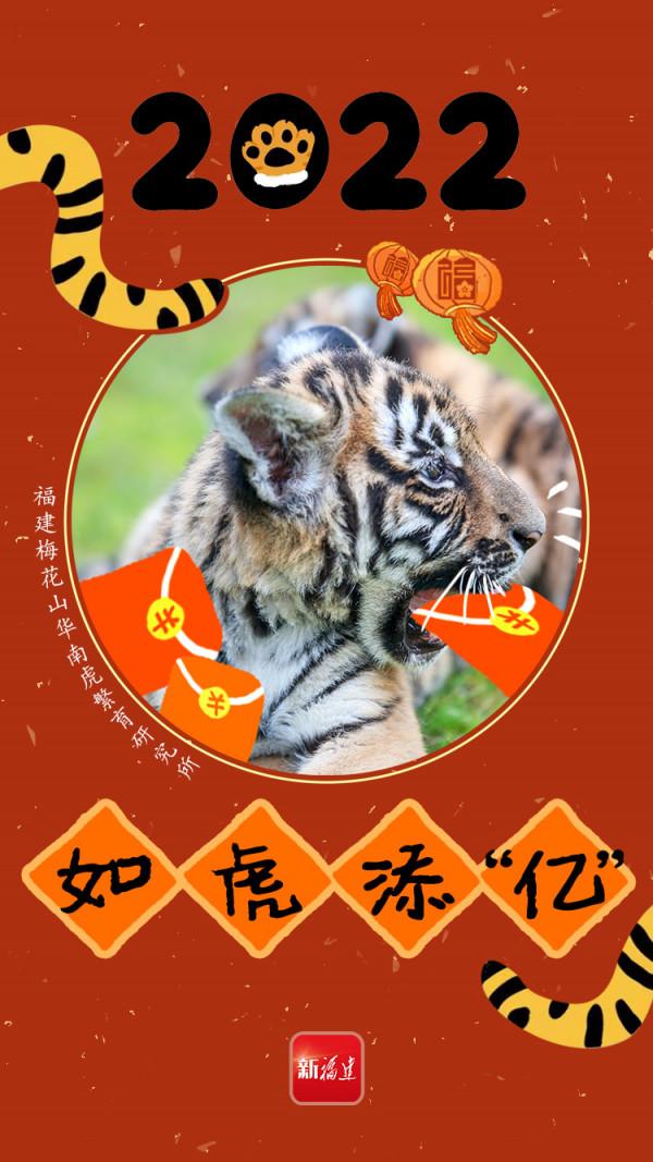小&OpenCurlyDoubleQuote;腦斧&rdquo;給你拜年！接虎（fu）氣啦