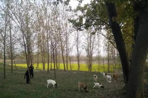 現代詩:《空蕩蕩的村莊》 現代詩:《空蕩蕩的村莊》