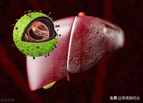 治療乙肝，選中醫還是西醫？一種中草藥方對抗乙型肝炎e抗原陽性