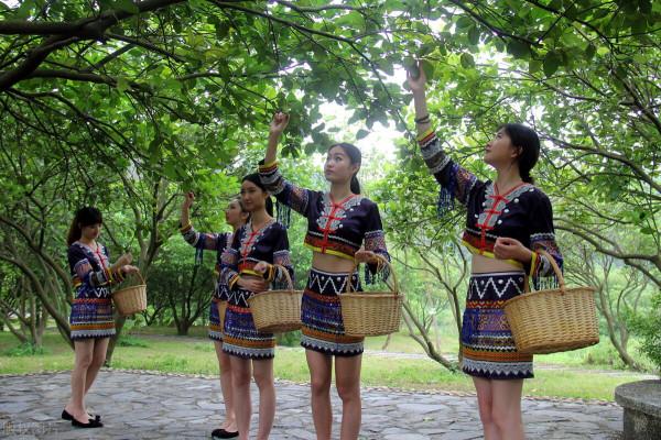 當初有多瘋狂，現在就有多淒涼，傷心的果農該何去何從