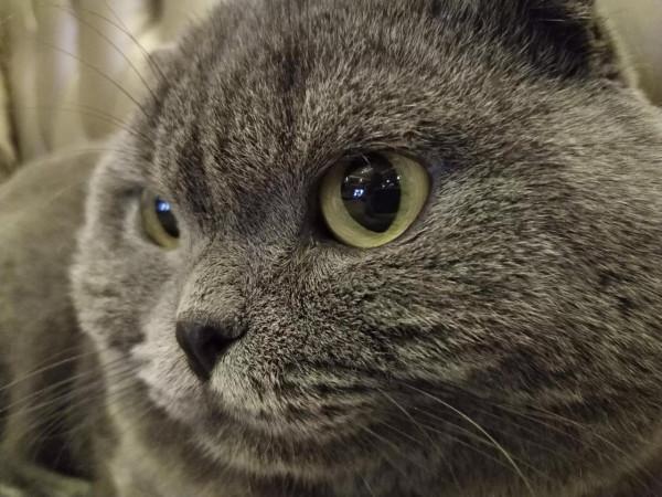 買中國貨請用人民幣付款——人民幣國際化的最好機會