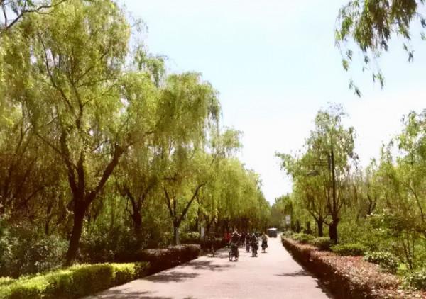 3首被埋沒的古詩，千年後拿出來品一品，沒想到韻味上佳