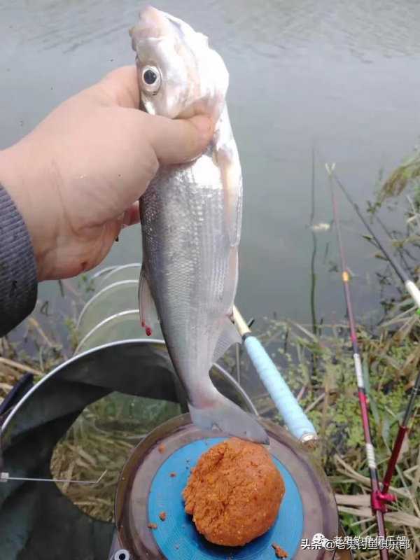氣溫驟變,水庫岔河解毒 氣溫驟變,水庫岔河解毒
