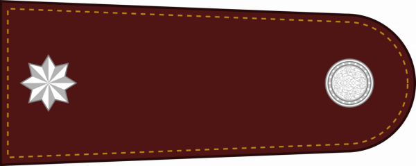 泰國警銜標識 泰國警銜標識