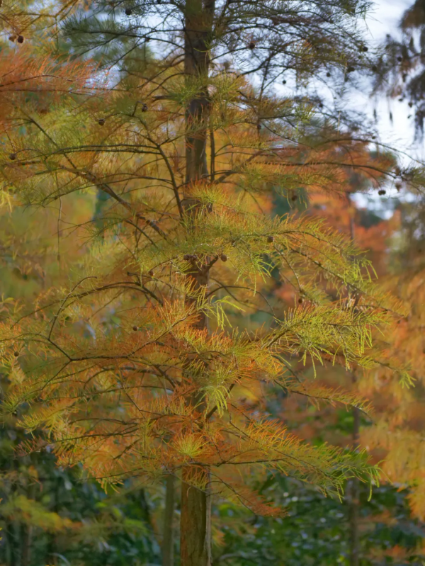 2022的願望：旅行自由！我想去這15個地方，不負心中所愛