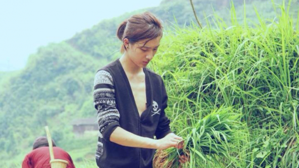 經典動漫又被毀？主演全是“新生代演員”，是否能夠達到觀眾預期