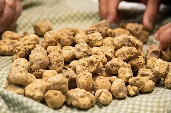 世界上非常昂貴的十種食物 世界上非常昂貴的十種食物