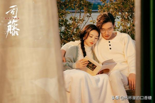 2021最高評分甜寵愛情劇TOP 10！《一生一世》第七《司藤》第三