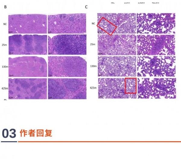 首都醫科大學團隊的高分論文因大量圖片重複被質疑 首都醫科大學團隊的高分論文因大量圖片重複被質疑