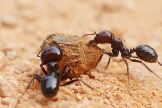 20個冷知識：都是真實的，只是你之前不知道